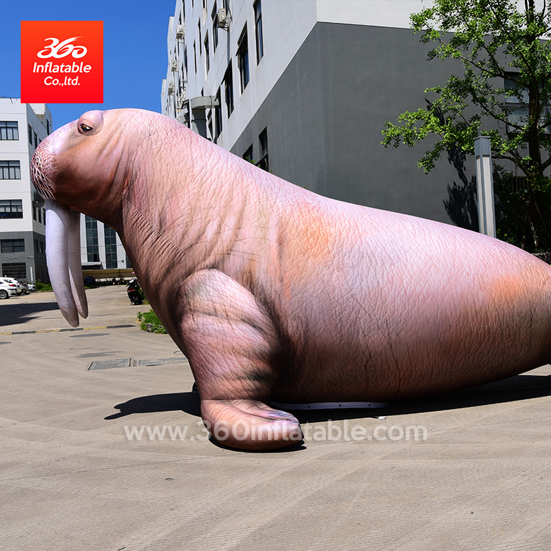 Custom Walrus Inflatables Advertising Cartoon Customize